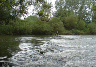 LNV: Problem der Wasserqualität an der Jagst noch ungelöst