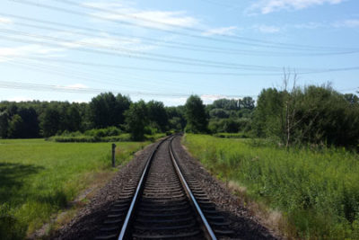 Daimler-Werkserweiterung nicht in den Rheinauen