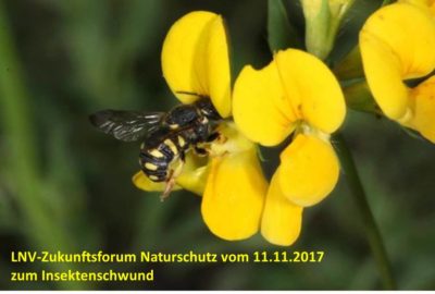 Droht ein stummer Frühling? - Tagungsbericht