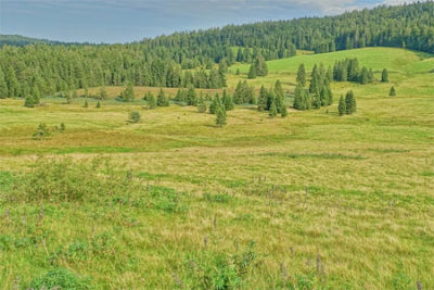 LNV: Weder Hotel noch Panoramahütte im Bernauer Schutzgebiet genehmigungsfähig