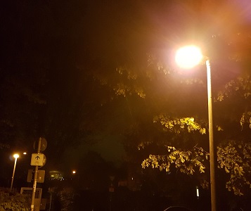 Lichtverschmutzung – ein unterschätztes Umweltproblem
