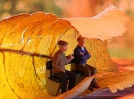 Überzeugend auftreten-stark argumentieren im Naturschutz