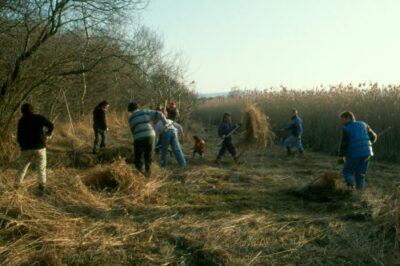 Naturschutzverbände warnen vor Mittelknappheit bei der Landschaftspflege