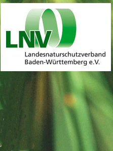 LNV-03