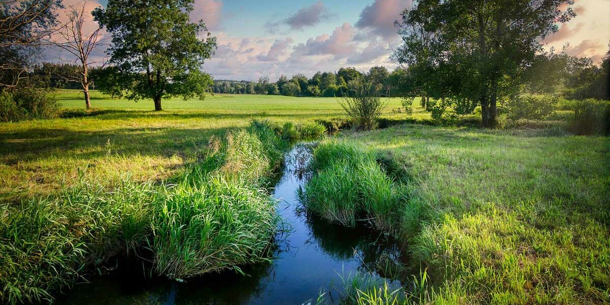 Flusslandschaft