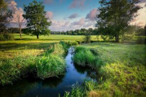 Zukunftsforum Naturschutz 7.12.2024: Wasser in der Landschaft - Wie begegnen wir dem Klimawandel?