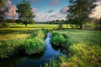 Flusslandschaft