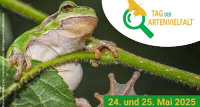 Tag der Artenvielfalt 2025