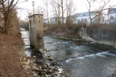EU-Verordnung zur Wiederherstellung der Natur: Keine Bedrohung, sondern Chance!