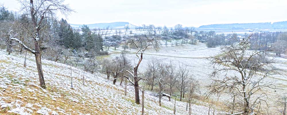 Streuobstlandschaft im Winter bei Großbottwar