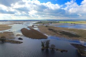 Schwammlandschaft - Artenvielfalt braucht Wasser im System