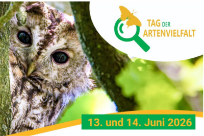 Dabei sein ist alles! Jetzt Veranstaltung melden!