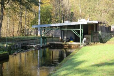 Gemeinsam für Lebendige Flüsse